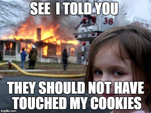 Disaster Girl Meme | SEE  I TOLD YOU; THEY SHOULD NOT HAVE TOUCHED MY COOKIES | image tagged in memes,disaster girl | made w/ Imgflip meme maker