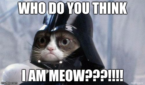 Grumpy Cat Star Wars Meme | WHO DO YOU THINK; I AM MEOW???!!!! | image tagged in memes,grumpy cat star wars,grumpy cat | made w/ Imgflip meme maker