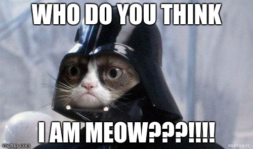 Grumpy Cat Star Wars | WHO DO YOU THINK; I AM MEOW???!!!! | image tagged in memes,grumpy cat star wars,grumpy cat | made w/ Imgflip meme maker