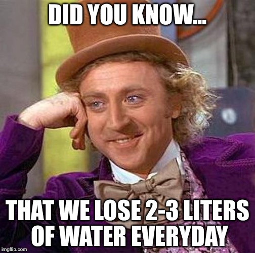 Creepy Condescending Wonka Meme | DID YOU KNOW... THAT WE LOSE 2-3 LITERS OF WATER EVERYDAY | image tagged in memes,creepy condescending wonka | made w/ Imgflip meme maker