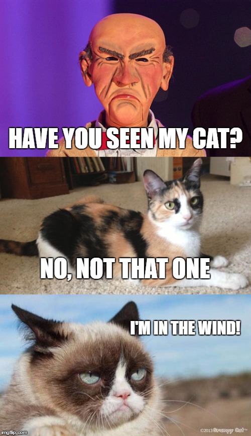 ADIOS WALTER! | HAVE YOU SEEN MY CAT? NO, NOT THAT ONE; I'M IN THE WIND! | image tagged in grumpy cat,jeff dunham walter | made w/ Imgflip meme maker
