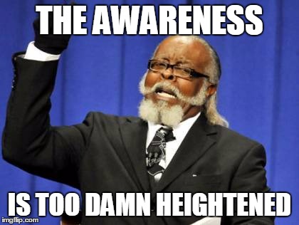 Why We Always Gotta Be So Sensitive? | THE AWARENESS; IS TOO DAMN HEIGHTENED | image tagged in memes,too damn high | made w/ Imgflip meme maker