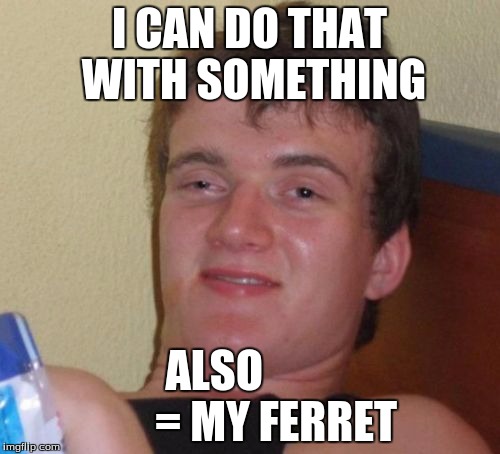I CAN DO THAT WITH SOMETHING ALSO               = MY FERRET | image tagged in memes,10 guy | made w/ Imgflip meme maker