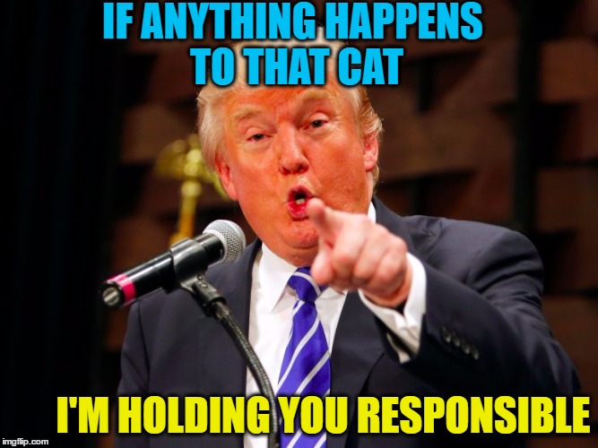 trump point | IF ANYTHING HAPPENS TO THAT CAT I'M HOLDING YOU RESPONSIBLE | image tagged in trump point | made w/ Imgflip meme maker
