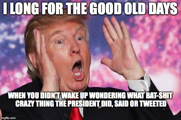 DonaldTrump | I LONG FOR THE GOOD OLD DAYS; WHEN YOU DIDN'T WAKE UP WONDERING WHAT BAT-SHIT CRAZY THING THE PRESIDENT DID, SAID OR TWEETED | image tagged in donaldtrump | made w/ Imgflip meme maker