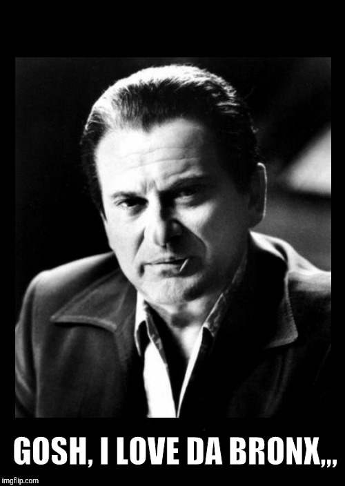 Joe Pesci sez,,, with black background | GOSH, I LOVE DA BRONX,,, | image tagged in joe pesci sez  with black background | made w/ Imgflip meme maker