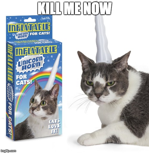 Uni-kitty will kill u | KILL ME NOW | image tagged in kitty,funny cats,cat,killme | made w/ Imgflip meme maker