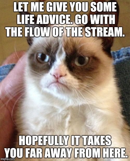 Grumpy Cat | LET ME GIVE YOU SOME LIFE ADVICE. GO WITH THE FLOW OF THE STREAM. HOPEFULLY IT TAKES YOU FAR AWAY FROM HERE. | image tagged in memes,grumpy cat | made w/ Imgflip meme maker