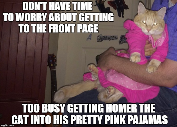 Kitty isn't going to dress himself in his pretty pink PJs... | DON'T HAVE TIME TO WORRY ABOUT GETTING TO THE FRONT PAGE; TOO BUSY GETTING HOMER THE CAT INTO HIS PRETTY PINK PAJAMAS | image tagged in pajama cat homer,funny cats,memes,front page,pets | made w/ Imgflip meme maker