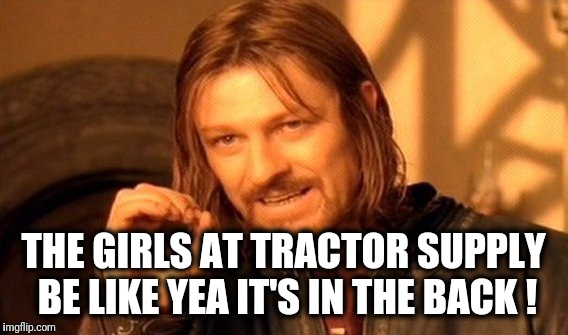 One Does Not Simply | THE GIRLS AT TRACTOR SUPPLY BE LIKE YEA IT'S IN THE BACK ! | image tagged in memes,one does not simply | made w/ Imgflip meme maker