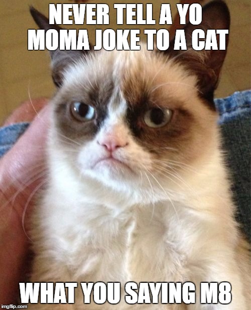 Grumpy Cat Meme | NEVER TELL A YO MOMA JOKE TO A CAT; WHAT YOU SAYING M8 | image tagged in memes,grumpy cat | made w/ Imgflip meme maker