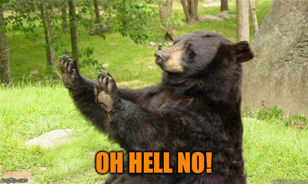 No Bear Blank | OH HELL NO! | image tagged in no bear blank | made w/ Imgflip meme maker