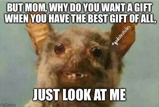 BUT MOM, WHY DO YOU WANT A GIFT WHEN YOU HAVE THE BEST GIFT OF ALL, JUST LOOK AT ME | image tagged in gif | made w/ Imgflip meme maker