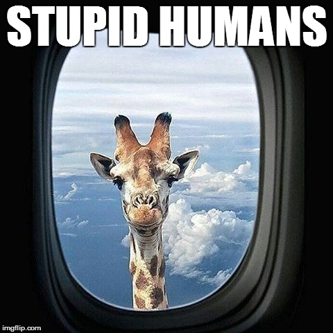 STUPID HUMANS | made w/ Imgflip meme maker