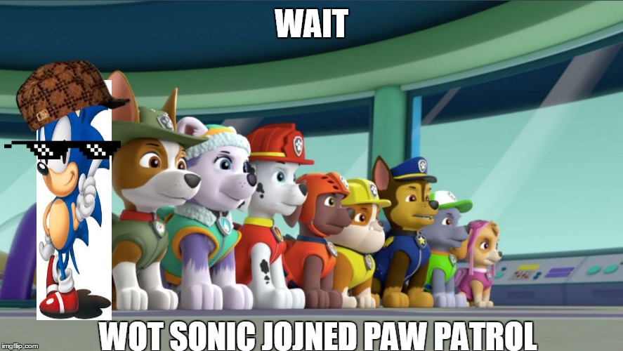 All 8 PAW Patrol Pups At The Lookout | WAIT; WOT SONIC JOJNED PAW PATROL | image tagged in all 8 paw patrol pups at the lookout,scumbag | made w/ Imgflip meme maker