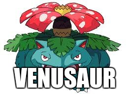VENUSAUR | image tagged in pokemon venusaur | made w/ Imgflip meme maker