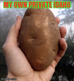 Totally not a 123Guy's fruit week event submission | MY OWN PRIVATE IDAHO | image tagged in potato music,tuber minute event,hugs and ksses | made w/ Imgflip meme maker