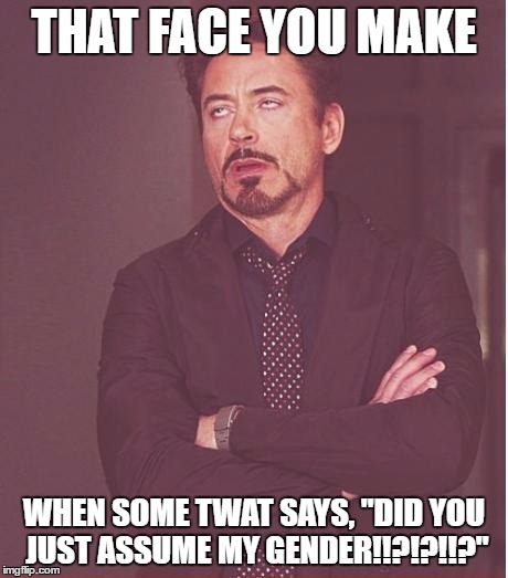 Face You Make Robert Downey Jr Meme | THAT FACE YOU MAKE; WHEN SOME TWAT SAYS, "DID YOU JUST ASSUME MY GENDER!!?!?!!?" | image tagged in memes,face you make robert downey jr | made w/ Imgflip meme maker