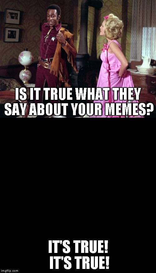 Yes, Mine are better when you can't see them | IS IT TRUE WHAT THEY SAY ABOUT YOUR MEMES? IT'S TRUE! IT'S TRUE! | image tagged in blazing saddles | made w/ Imgflip meme maker