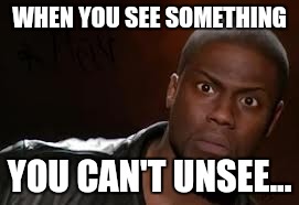 Oh my... | WHEN YOU SEE SOMETHING; YOU CAN'T UNSEE... | image tagged in memes,kevin hart the hell | made w/ Imgflip meme maker