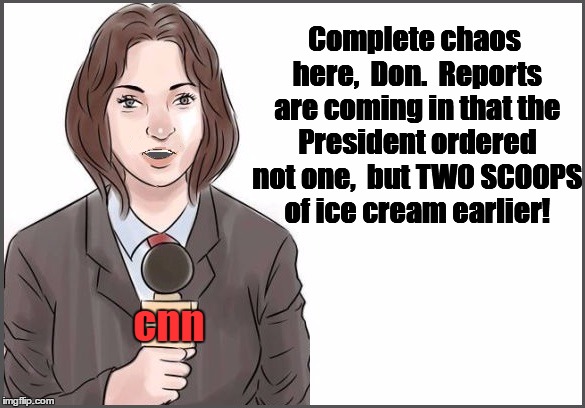 Complete chaos here,  Don.  Reports are coming in that the President ordered not one,  but TWO SCOOPS of ice cream earlier!  cnn | image tagged in reporter | made w/ Imgflip meme maker