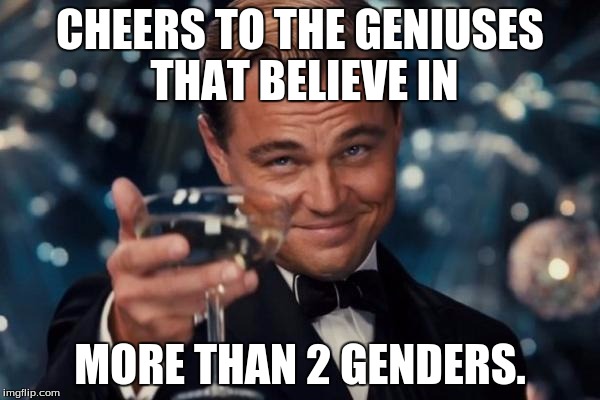 Leonardo Dicaprio Cheers | CHEERS TO THE GENIUSES THAT BELIEVE IN; MORE THAN 2 GENDERS. | image tagged in memes,leonardo dicaprio cheers | made w/ Imgflip meme maker