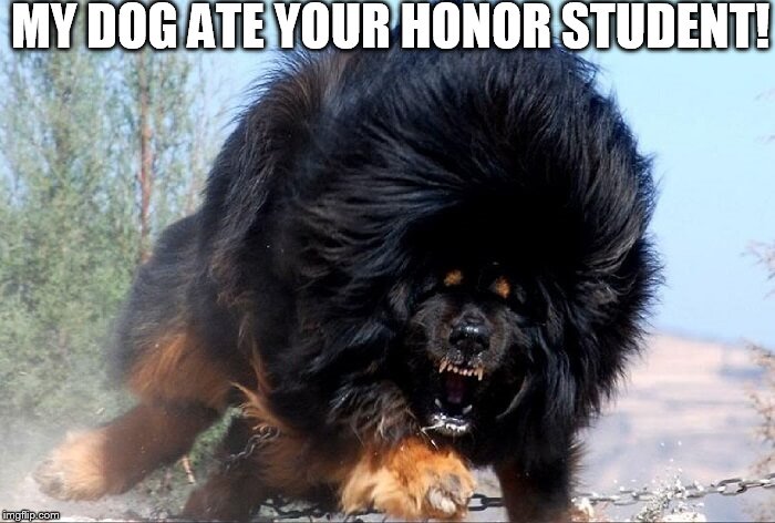 MY DOG ATE YOUR HONOR STUDENT! | image tagged in dog ate,your honor student | made w/ Imgflip meme maker