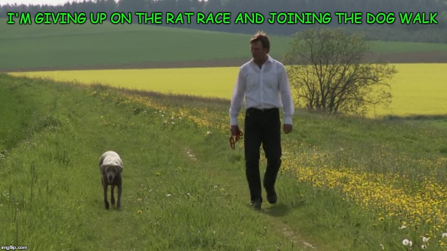 Dog Walk | I'M GIVING UP ON THE RAT RACE AND JOINING THE DOG WALK | image tagged in dog | made w/ Imgflip meme maker