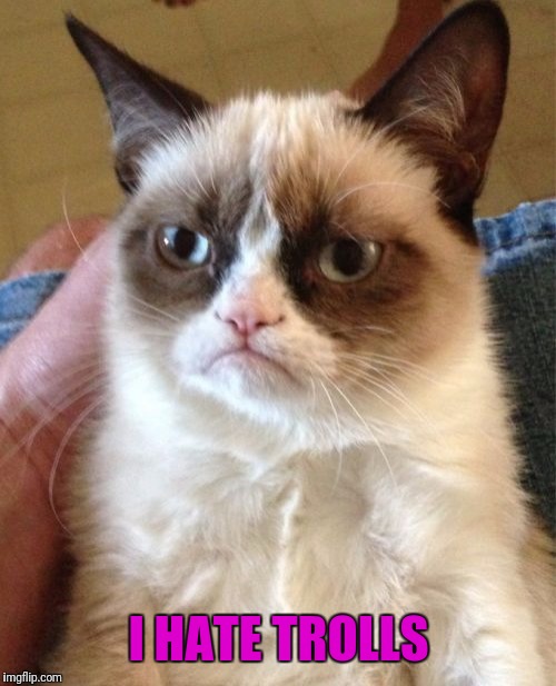 Grumpy Cat Meme | I HATE TROLLS | image tagged in memes,grumpy cat | made w/ Imgflip meme maker