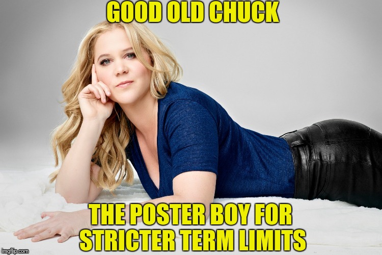 Amy Schumer | GOOD OLD CHUCK THE POSTER BOY FOR STRICTER TERM LIMITS | image tagged in amy schumer | made w/ Imgflip meme maker