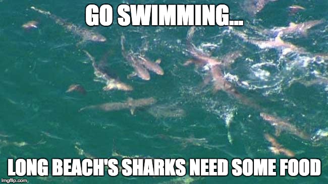 Shark Frenzy!  | GO SWIMMING... LONG BEACH'S SHARKS NEED SOME FOOD | image tagged in shark frenzy | made w/ Imgflip meme maker