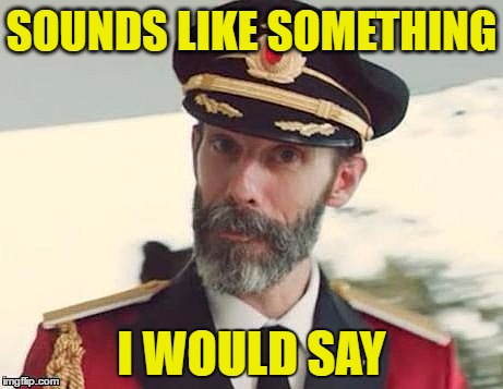 Captain Obvious | SOUNDS LIKE SOMETHING I WOULD SAY | image tagged in captain obvious | made w/ Imgflip meme maker