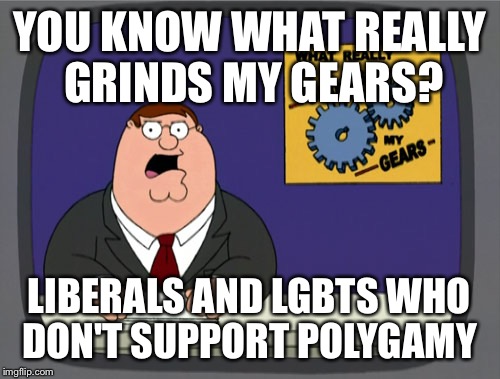 Peter Griffin News | YOU KNOW WHAT REALLY GRINDS MY GEARS? LIBERALS AND LGBTS WHO DON'T SUPPORT POLYGAMY | image tagged in memes,peter griffin news | made w/ Imgflip meme maker