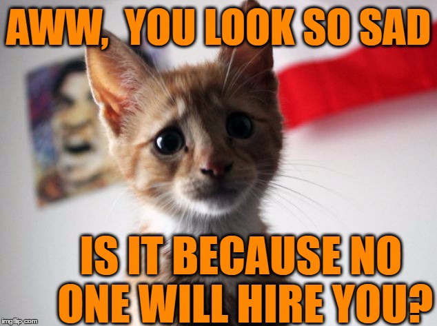 AWW,  YOU LOOK SO SAD IS IT BECAUSE NO ONE WILL HIRE YOU? | made w/ Imgflip meme maker
