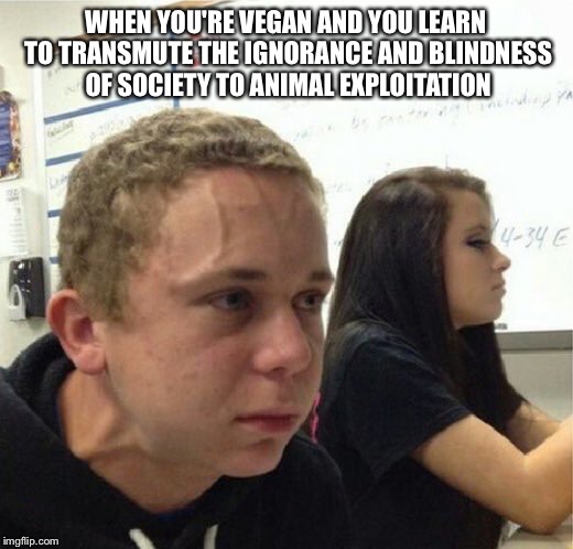 VeganStruggleGuy | WHEN YOU'RE VEGAN AND YOU LEARN TO TRANSMUTE THE IGNORANCE AND BLINDNESS OF SOCIETY TO ANIMAL EXPLOITATION | image tagged in veganstruggleguy | made w/ Imgflip meme maker