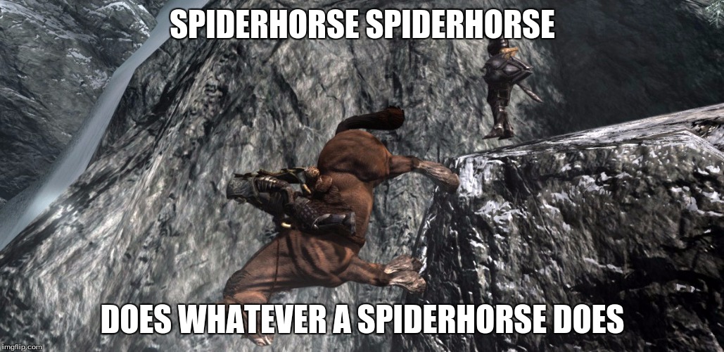 Skyrim's physics are trippy |  SPIDERHORSE SPIDERHORSE; DOES WHATEVER A SPIDERHORSE DOES | image tagged in skyrim | made w/ Imgflip meme maker