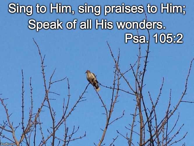 Sing to Him, sing praises to Him;; Speak of all His wonders. Psa. 105:2 | image tagged in sing praises | made w/ Imgflip meme maker