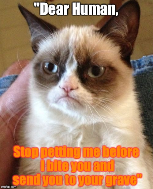 Grumpy Cat Meme | "Dear Human, Stop petting me before I bite you and send you to your grave" | image tagged in memes,grumpy cat | made w/ Imgflip meme maker