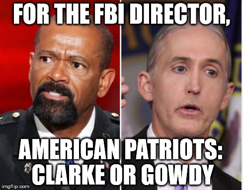 For FBI, Clarke or Gowdy | FOR THE FBI DIRECTOR, AMERICAN PATRIOTS: CLARKE OR GOWDY | image tagged in clarke gowdy for america,for fbi david clarke,for fbi trey gowdy,new fbi director,gowdy fbi,clarke fbi | made w/ Imgflip meme maker
