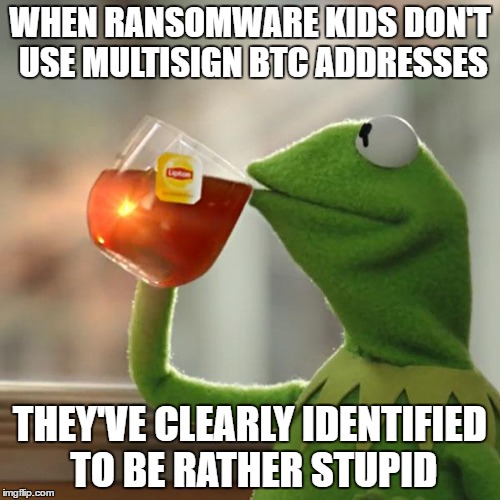 Ransomware Fact | WHEN RANSOMWARE KIDS DON'T USE MULTISIGN BTC ADDRESSES; THEY'VE CLEARLY IDENTIFIED TO BE RATHER STUPID | image tagged in memes,funny,but thats none of my business,kermit the frog,ransomware,fact | made w/ Imgflip meme maker