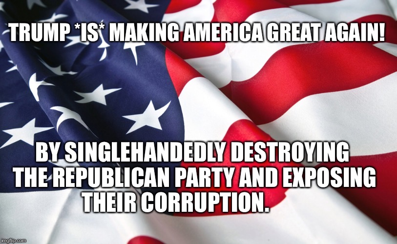 Maga | TRUMP *IS* MAKING AMERICA GREAT AGAIN! BY SINGLEHANDEDLY DESTROYING THE REPUBLICAN PARTY AND EXPOSING THEIR CORRUPTION. | image tagged in hypocrisy | made w/ Imgflip meme maker
