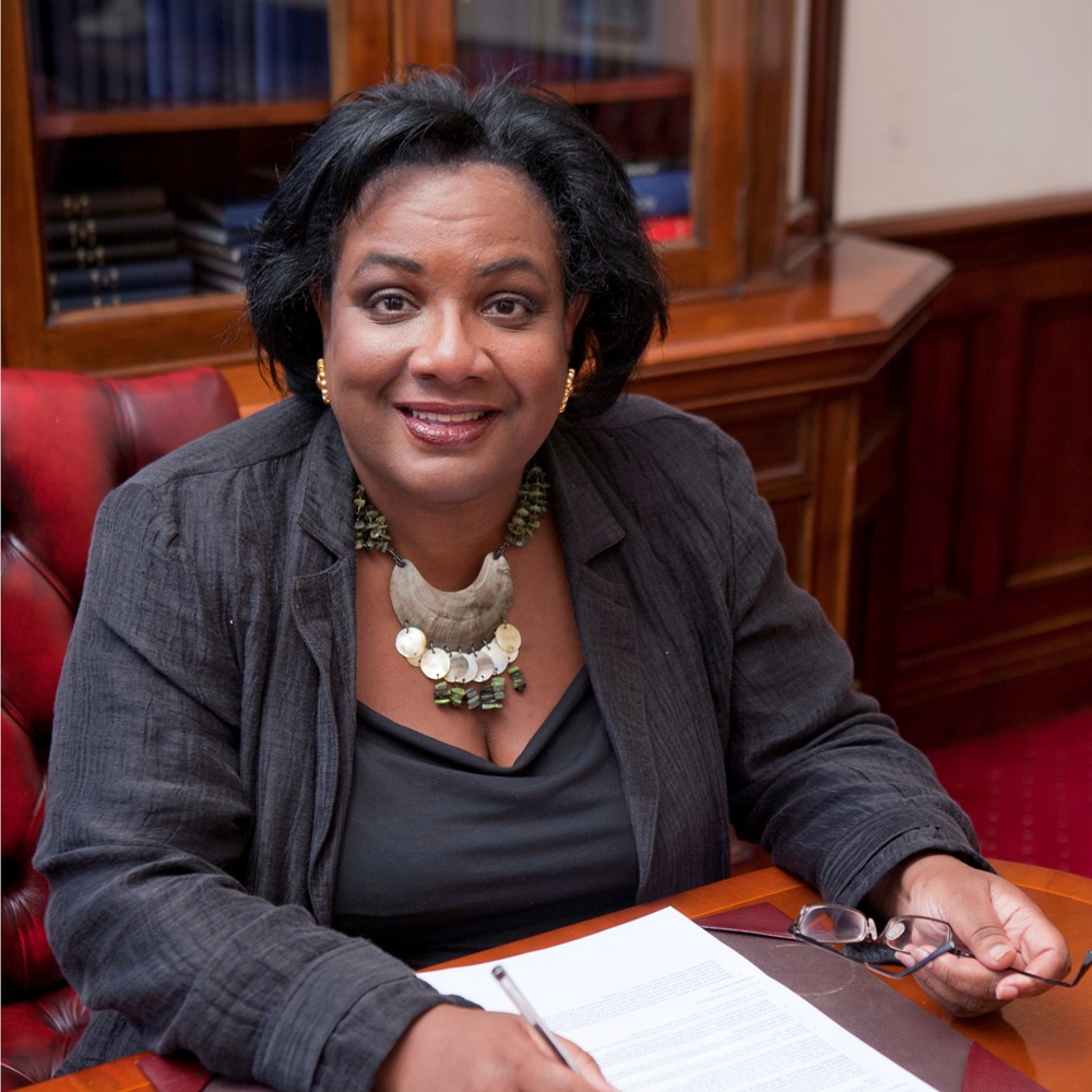 High Quality Diane Abbott Blank Meme Template