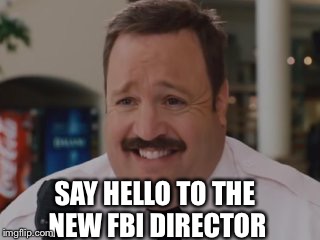 Filling the cracks of all hearts | SAY HELLO TO THE NEW FBI DIRECTOR | image tagged in fbi director james comey,funny memes,political meme | made w/ Imgflip meme maker