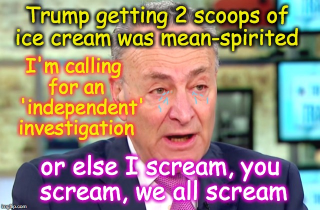 Can CNN and Time get any more pathetic? | I'm calling for an   'independent' investigation; Trump getting 2 scoops of ice cream was mean-spirited; or else I scream, you scream, we all scream | image tagged in chuck schumer crying | made w/ Imgflip meme maker