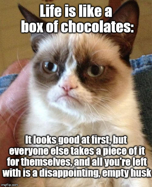 Too true... | Life is like a box of chocolates:; It looks good at first, but everyone else takes a piece of it for themselves, and all you're left with is a disappointing, empty husk | image tagged in memes,forrest gump box of chocolates,grumpy cat | made w/ Imgflip meme maker