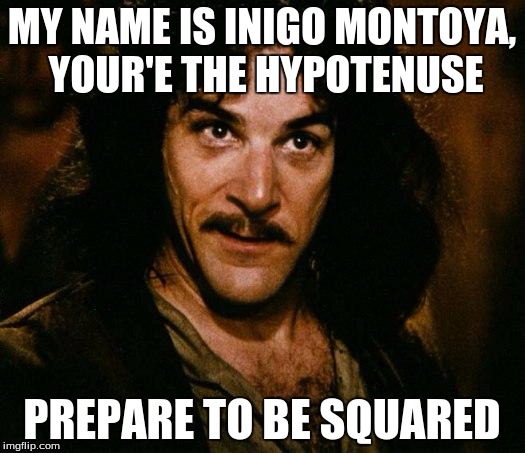 Inigo Montoya Meme | MY NAME IS INIGO MONTOYA, YOUR'E THE HYPOTENUSE; PREPARE TO BE SQUARED | image tagged in memes,inigo montoya | made w/ Imgflip meme maker