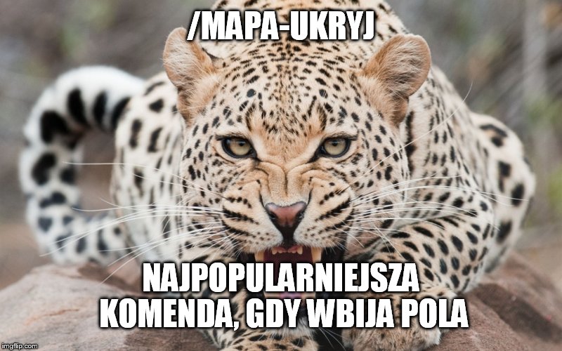 A Leopard Can't Change It's Spots | /MAPA-UKRYJ; NAJPOPULARNIEJSZA KOMENDA, GDY WBIJA POLA | image tagged in a leopard can't change it's spots | made w/ Imgflip meme maker