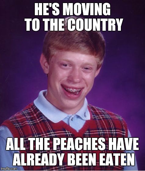 All he wanted were some darn peaches... | HE'S MOVING TO THE COUNTRY; ALL THE PEACHES HAVE ALREADY BEEN EATEN | image tagged in memes,bad luck brian | made w/ Imgflip meme maker