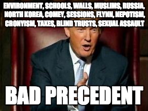 Donald Trump | ENVIRONMENT, SCHOOLS, WALLS, MUSLIMS, RUSSIA, NORTH KOREA, COMEY, SESSIONS, FLYNN, NEPOTISM, CRONYISM, TAXES, BLIND TRUSTS, SEXUAL ASSAULT; BAD PRECEDENT | image tagged in donald trump | made w/ Imgflip meme maker
