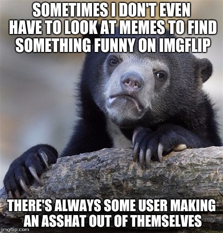 Confession Bear | SOMETIMES I DON'T EVEN HAVE TO LOOK AT MEMES TO FIND SOMETHING FUNNY ON IMGFLIP; THERE'S ALWAYS SOME USER MAKING AN ASSHAT OUT OF THEMSELVES | image tagged in memes,confession bear | made w/ Imgflip meme maker